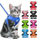 Collare Regolabile per Cani e Gatti – StreetPet™