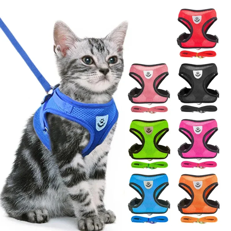 Collare Regolabile per Cani e Gatti – StreetPet™