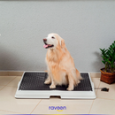 Toilette Intelligente per Animali Domestici