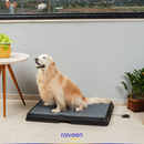 Toilette Intelligente per Animali Domestici