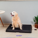 Toilette Intelligente per Animali Domestici