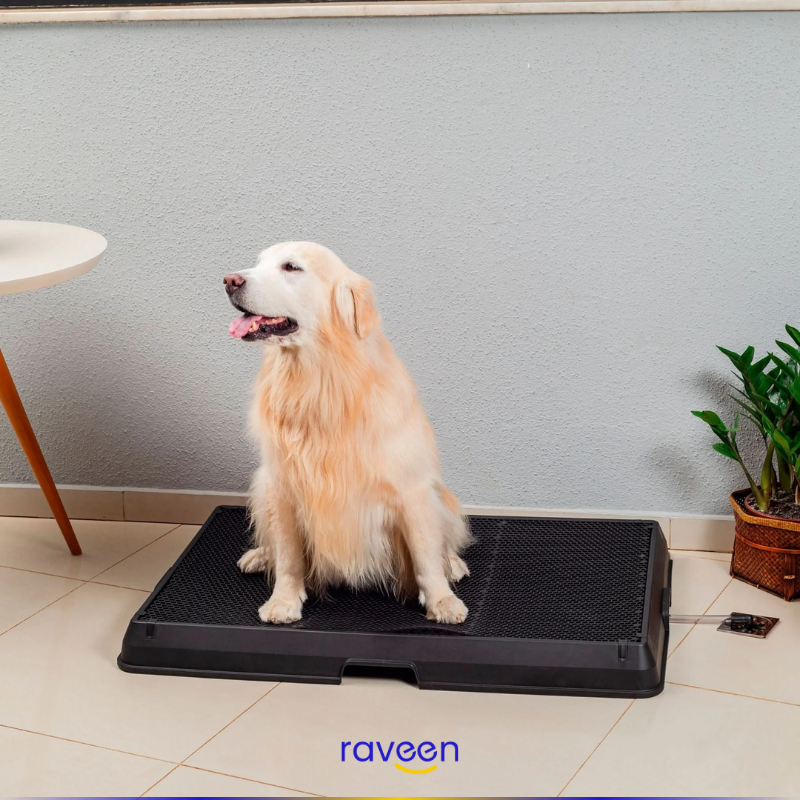 Toilette Intelligente per Animali Domestici