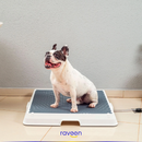 Toilette Intelligente per Animali Domestici