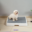 Toilette Intelligente per Animali Domestici