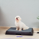 Toilette Intelligente per Animali Domestici