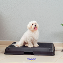 Toilette Intelligente per Animali Domestici