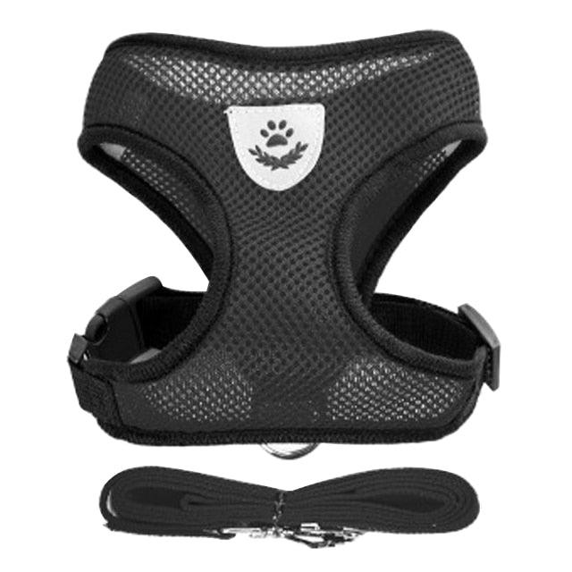 Collare Regolabile per Cani e Gatti – StreetPet™