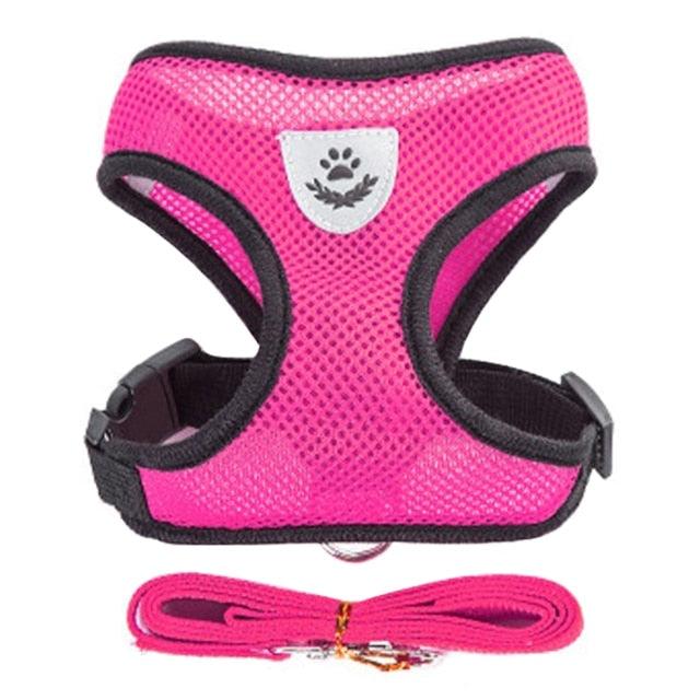 Collare Regolabile per Cani e Gatti – StreetPet™