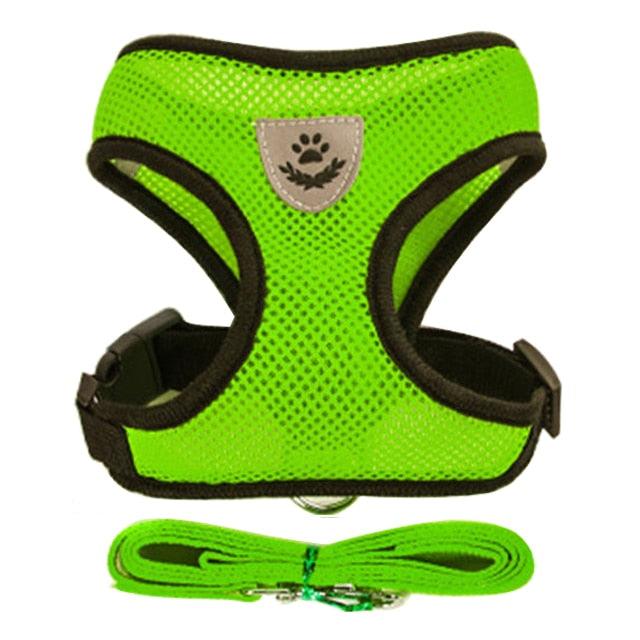 Collare Regolabile per Cani e Gatti – StreetPet™