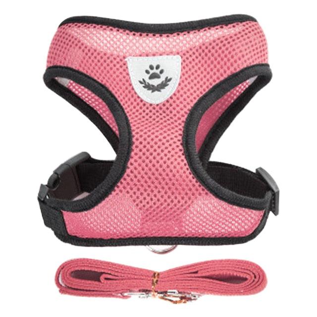 Collare Regolabile per Cani e Gatti – StreetPet™