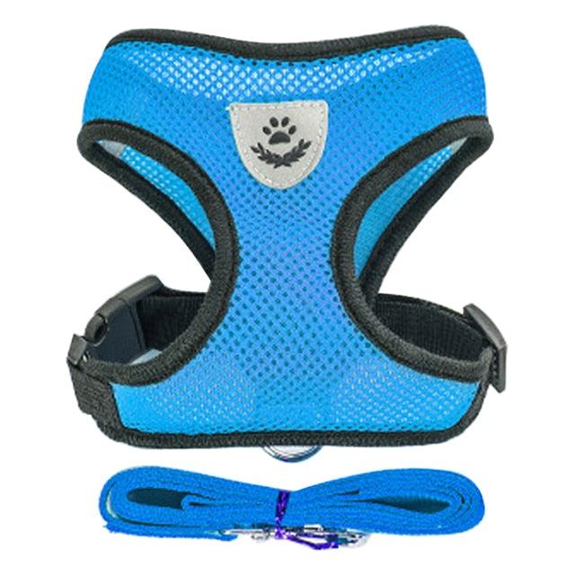 Collare Regolabile per Cani e Gatti – StreetPet™